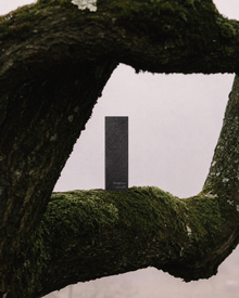 Evening Stillness Ritual — Twilight Vow & Silent Ember